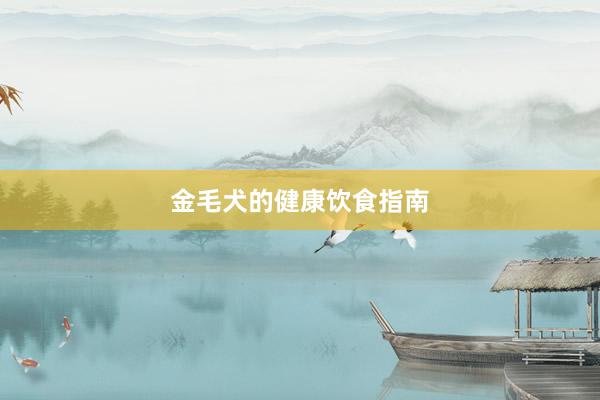 金毛犬的健康饮食指南